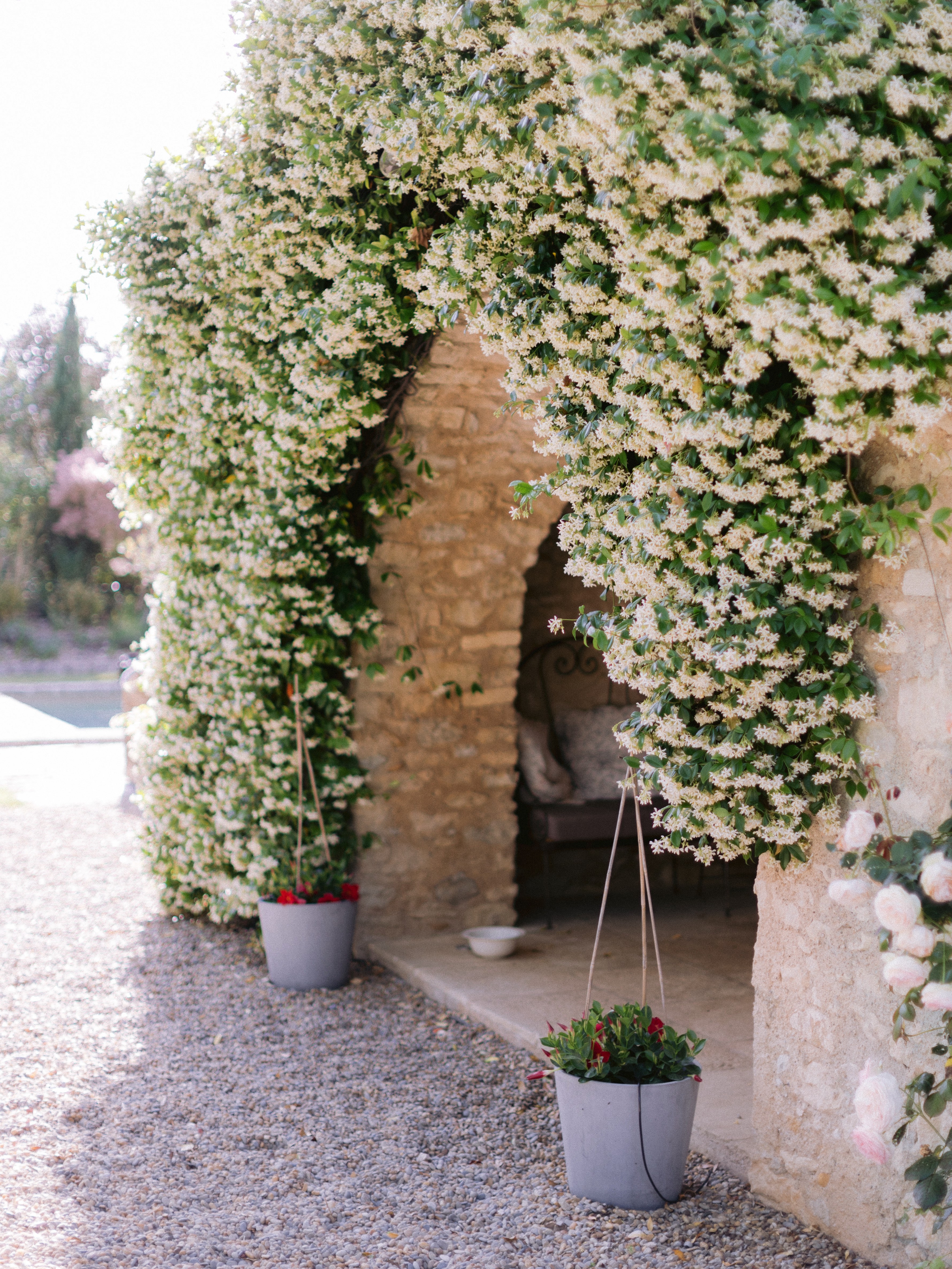 An enchanting stone archway covered in blooming white jasmine flowers, with two potted plants at its sides, leading to a quaint seating area.